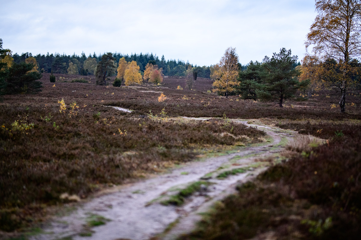 Landschaft